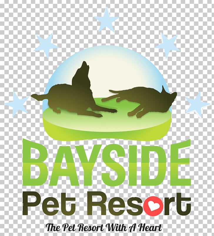 Sarasota Bayside Pet Resort Dog Pet Sitting Cat PNG, Clipart, 5 Star, Accommodation, Amenity, Animals, Brand Free PNG Download