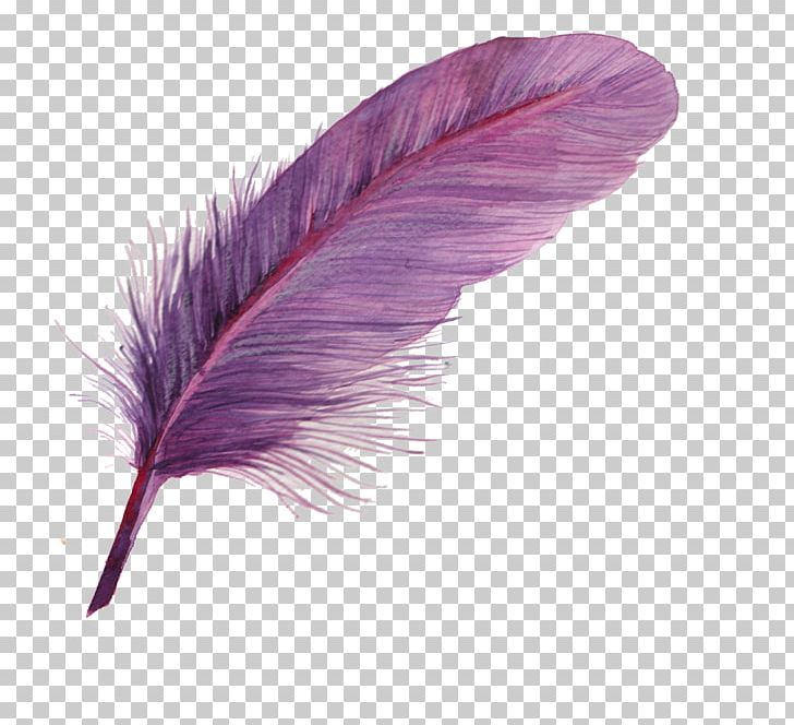 Feather Icon PNG, Clipart, Computer Icons, Decorative Patterns, Download, Encapsulated Postscript, Feather Free PNG Download