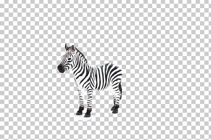 Lion Zebra Animal Planet Cat PNG, Clipart, Animal, Animal Figure, Animal Planet, Animals, Bengal Tiger Free PNG Download