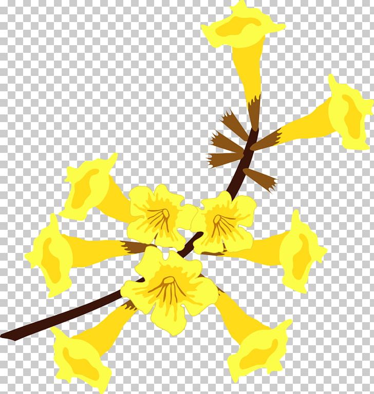 Flower Yellow Ipe Handroanthus Albus PNG, Clipart, Branch, Cut Flowers, Download, Encapsulated Postscript, Flor Free PNG Download