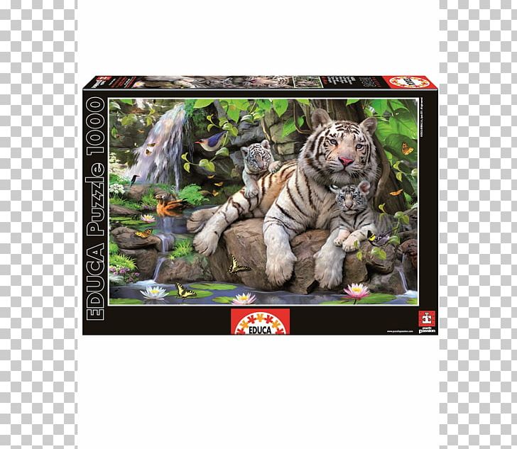 Jigsaw Puzzles Felidae Bengal Tiger White Tiger Bengal Cat PNG, Clipart, Animal, Bengal Cat, Bengal Tiger, Big Cats, Carnivoran Free PNG Download