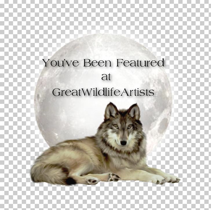 Kunming Wolfdog Czechoslovakian Wolfdog Arctic Wolf PNG, Clipart, Animal, Arctic Wolf, Black Wolf, Carnivoran, Clip Art Free PNG Download
