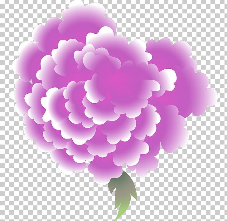 Peony Floral Design Carnation Petal Herbaceous Plant PNG, Clipart