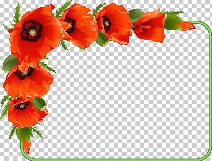 Poppy Drawing PNG, Clipart, Annual Plant, Art, Coquelicot, Cut Flowers, Flower Free PNG Download
