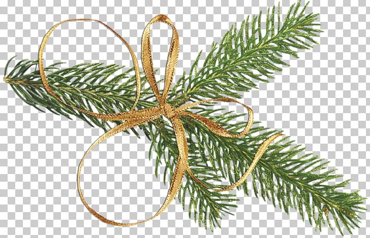 Tree Christmas Branch Pine PNG, Clipart, Branch, Christmas, Christmas Decoration, Christmas Ornament, Christmas Tree Free PNG Download