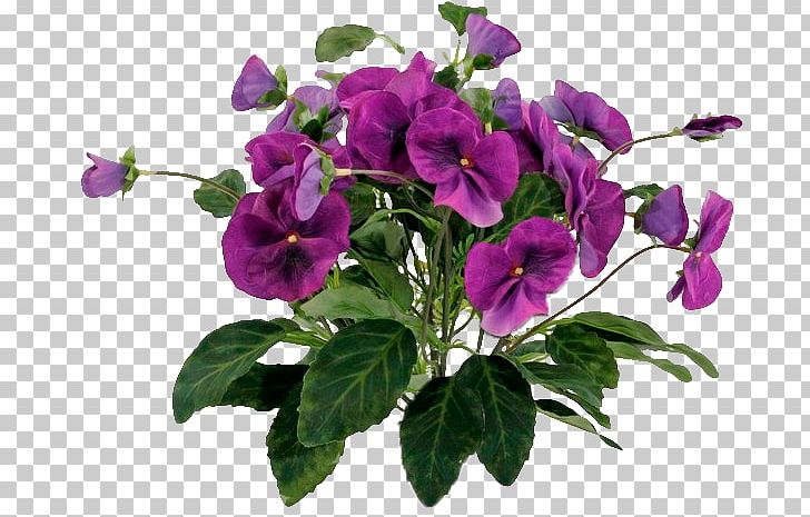 Pansy Annual Plant Herbaceous Plant PNG, Clipart, Annual Plant, Cicek, Cicek Resimleri, Fleur, Flower Free PNG Download