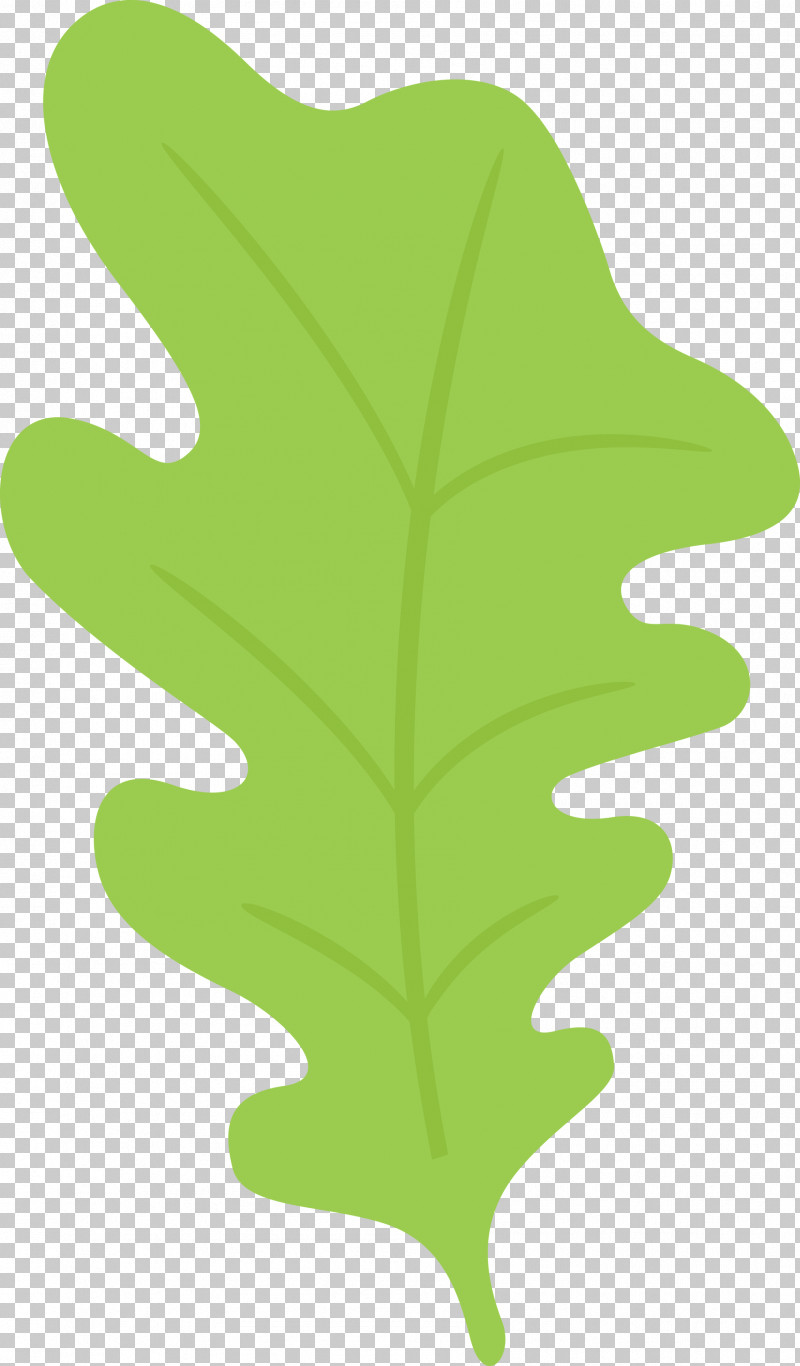 Oak Leaf PNG, Clipart, Biology, Green, Leaf, Oak Leaf, Plants Free PNG Download