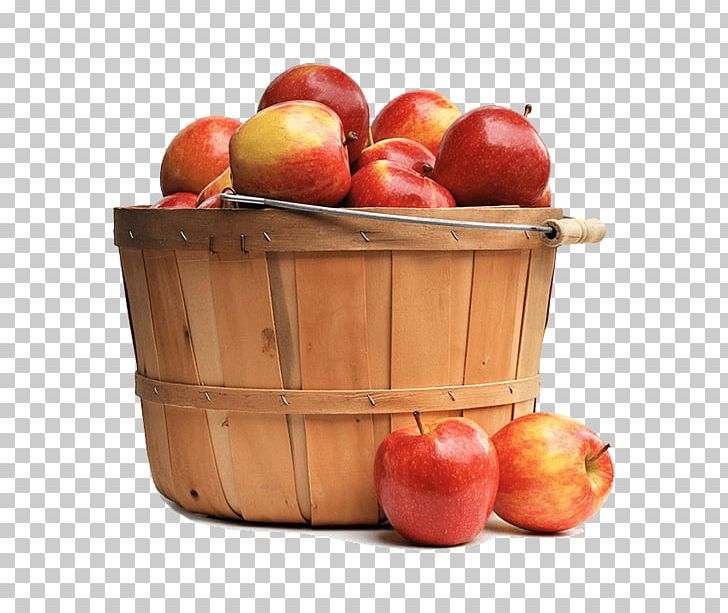 Apple Fruit Macintosh Jez Jablka PNG, Clipart, Apple, Basket, Food, Fruit, Fruit Nut Free PNG Download