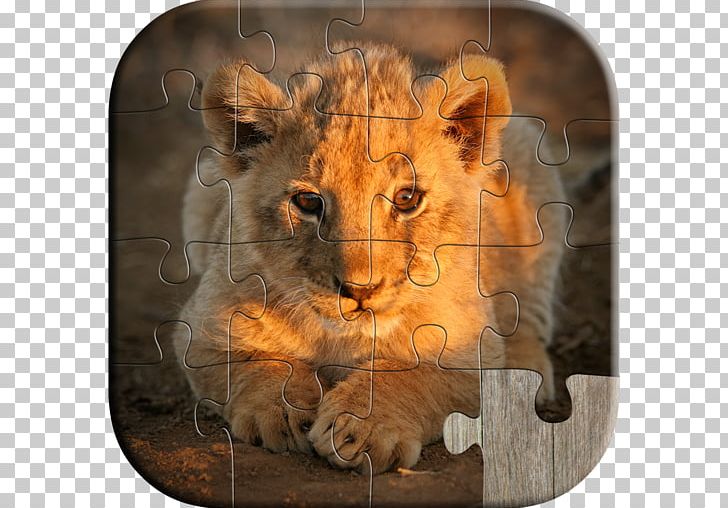 Lion Stock Photography Animal Babies Jigsaw Puzzles Game PNG, Clipart, Animals, Big Cat, Big Cats, Can Stock Photo, Carnivoran Free PNG Download
