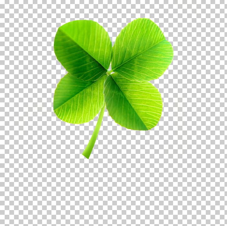 Logo Company Stock PNG, Clipart, 4 Leaf Clover, Business, Clover, Clover Border, Clover Leaf Free PNG Download