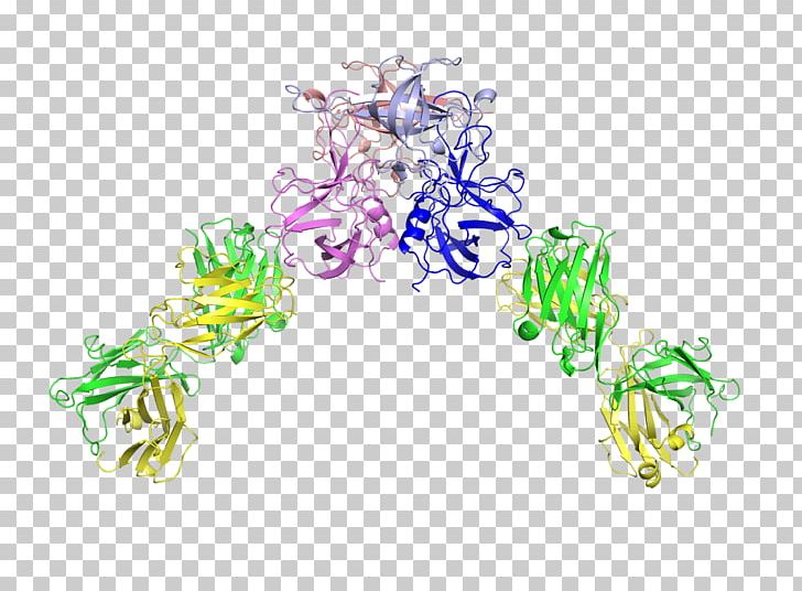 Yokohama City University Structure University Of Texas At Austin Subdomain Structural Biology PNG, Clipart, Antibody, Body Jewelry, Crystal Structure, Doctor Of Philosophy, Domain Name Free PNG Download