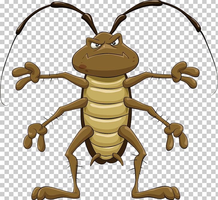 Cockroach Cartoon PNG, Clipart, Animal, Animals, Animated Cartoon, Bee,  Beetle Car Vintage Free PNG Download