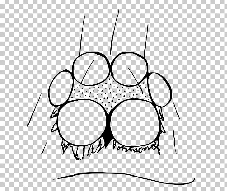 Oonopidae Scaphiella Vicencio Oonops Domesticus Megaoonops Avrona PNG, Clipart, Area, Artwork, Black, Black And White, Cartoon Free PNG Download
