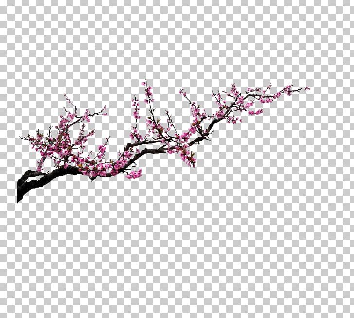Red PNG, Clipart, Blossom, Branch, Color, Computer, Element Free PNG Download