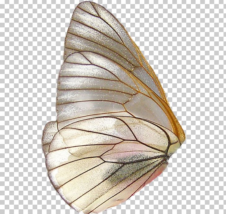 Butterfly Transparency And Translucency PNG, Clipart, Butterfly, Insects, Insect Wing, Leaf, Monarch Butterfly Free PNG Download