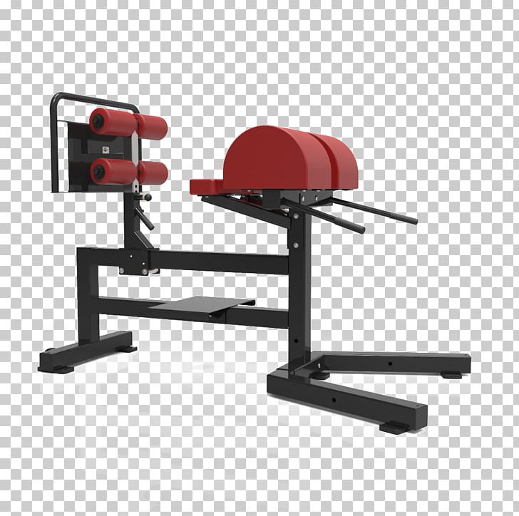Bench Exercise Bands Physical Fitness Strength Training Fitness Centre PNG, Clipart, Angle, Bearing, Bench, Desk, Dynamic Free PNG Download