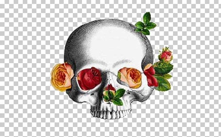 Calavera Flower Bone Skull PNG, Clipart, Anatomy, Arachnoid Mater, Bone, Bones, Calavera Free PNG Download