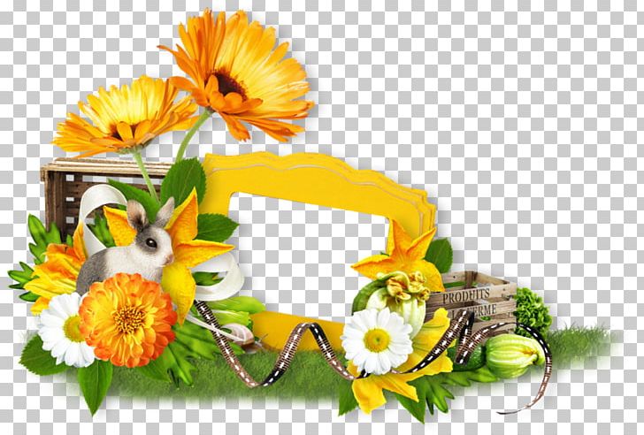 Cut Flowers Happiness Wish Blog PNG, Clipart, Blessing, Blog, Cut Flowers, Daisy Family, Day Free PNG Download