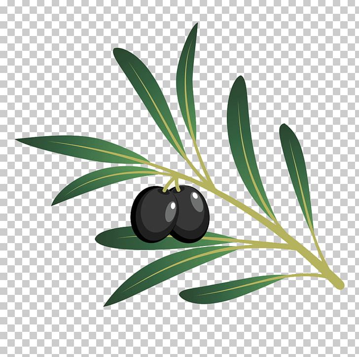 Olive Oil Cartoon PNG, Clipart, Black, Black Background, Black Hair, Bottle, Boy Cartoon Free PNG Download