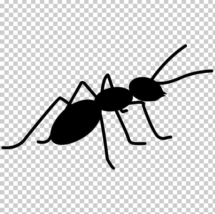 Pharaoh Ant PNG, Clipart, Abiword, Ant, Apache Ant, Arthropod, Black And White Free PNG Download