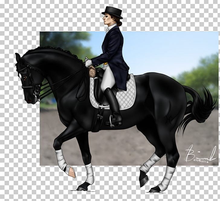 Hunt Seat Stallion Rein Equestrian Horse PNG, Clipart, Animals, Animal Sports, Animal Training, Bit, Bridle Free PNG Download