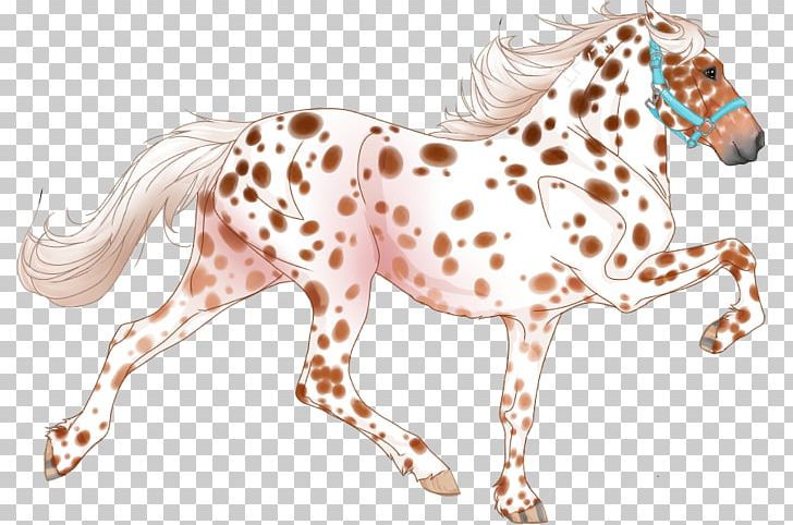 Mustang Cat Stallion Mammal Terrestrial Animal PNG, Clipart, Animal, Animal Figure, Big Cat, Big Cats, Carnivoran Free PNG Download