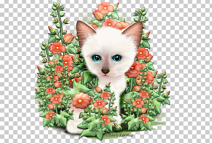 Kitten Whiskers Cat Drawing PNG, Clipart, Animals, Carnivoran, Cartoon, Cat, Cat Like Mammal Free PNG Download
