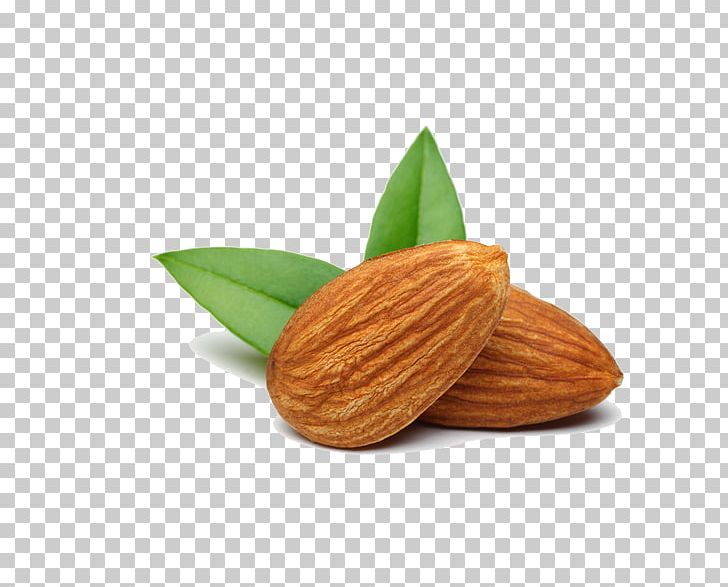 Nut Almond Food Apricot Kernel PNG, Clipart, Almond, Almond Milk, Almond Nut, Almond Nuts, Almond Pudding Free PNG Download