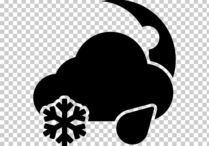 Rain And Snow Mixed Winter Storm Cloud PNG, Clipart, Black, Black And White, Cloud, Computer Icons, Fog Free PNG Download