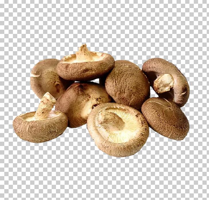 Shiitake Hot Pot Oyster Mushroom Vegetable PNG, Clipart, Bunch Of Carrots, Bunch Of Flowers, Cream Of Mushroom Soup, Edible, Edible Mushroom Free PNG Download
