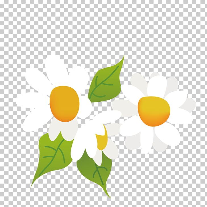 Chrysanthemum Indicum Vecteur PNG, Clipart, Background White, Black White, Branch, Chrysanthemum, Chrysanthemum Vector Free PNG Download