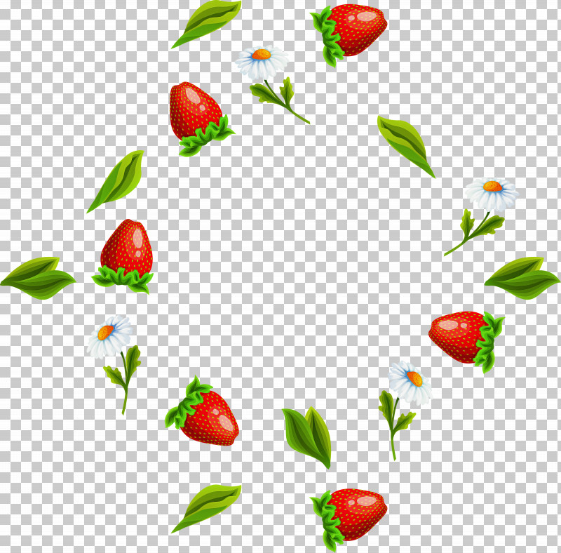 Strawberry PNG, Clipart, Biology, Branching, Flower, Fruit, Heart Free PNG Download
