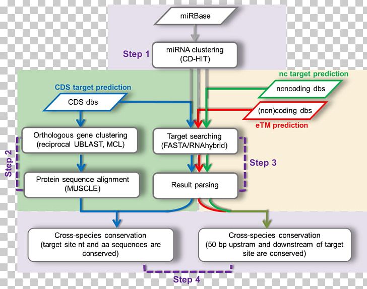 Diagram Product Learning Line PNG, Clipart, Area, Art, Diagram, Learning, Line Free PNG Download