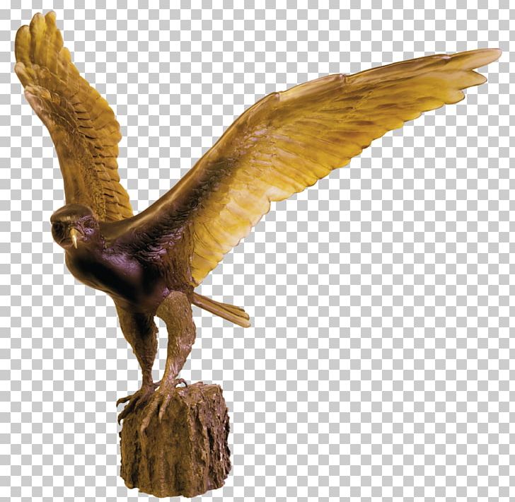 Furniture Eagle Falcon Sources Unlimited Hawk PNG, Clipart, Accipitriformes, Beak, Bird, Bird Of Prey, Daum Free PNG Download