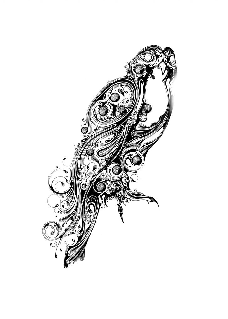 Si Scott Studio Drawing Graphic Designer PNG, Clipart, Art, Artist, Bird, Black And White, Body Jewelry Free PNG Download