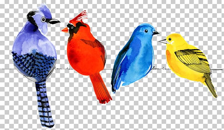 Bird Watercolor Painting Parrot Drawing Cartoon PNG, Clipart, Animals, Art, Beak, Bird, Cartoon Free PNG Download
