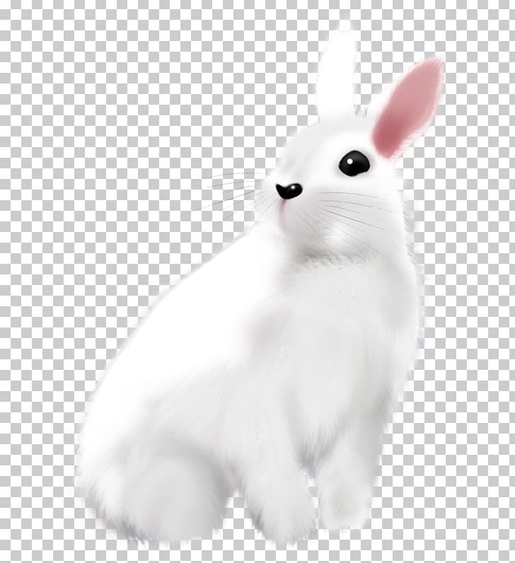 Domestic Rabbit Easter Bunny Hare White PNG, Clipart, Animal, Animals, Animation, Black And White, Bunnies Free PNG Download
