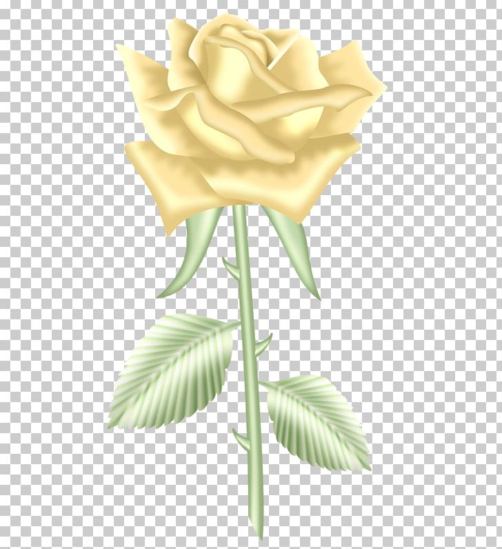 Garden Roses Cut Flowers PNG, Clipart, Art, Art Blog, Bud, Centifolia Roses, Cut Flowers Free PNG Download