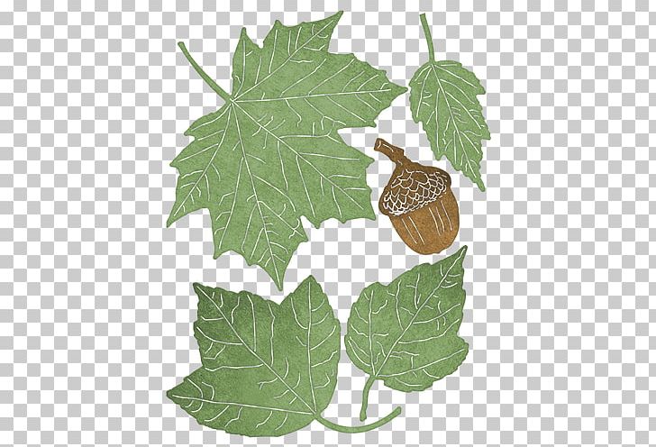 Leaf Grape Leaves Cheery Lynn Designs Grapevines Die PNG, Clipart, Cheery Lynn Designs, Die, Grape Leaves, Grapevines, Ivy Free PNG Download