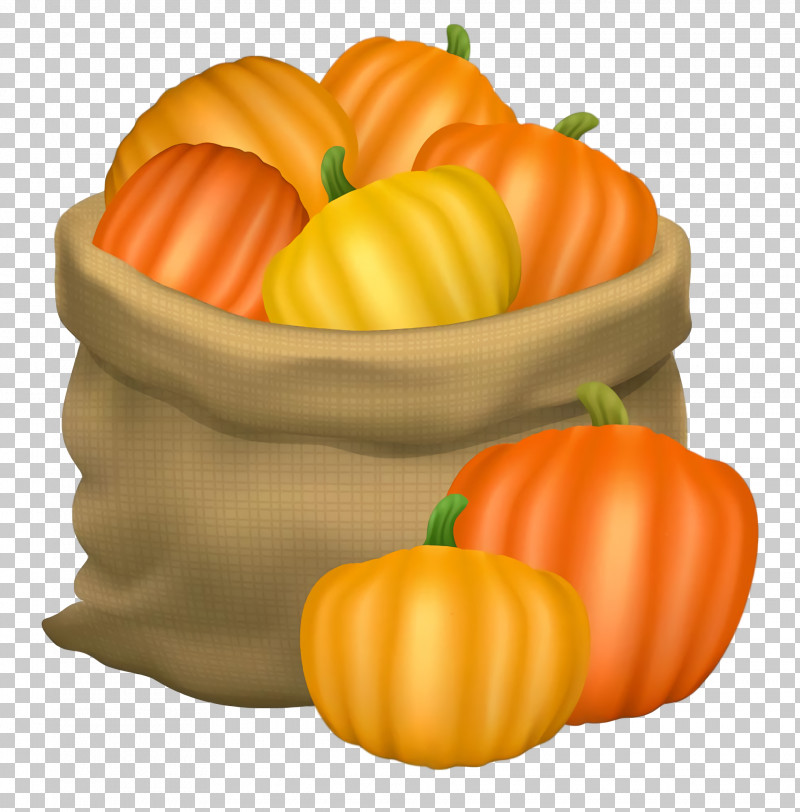 Thanksgiving Autumn Harvest PNG, Clipart, Autumn, Calabaza, Fruit, Gourd, Harvest Free PNG Download