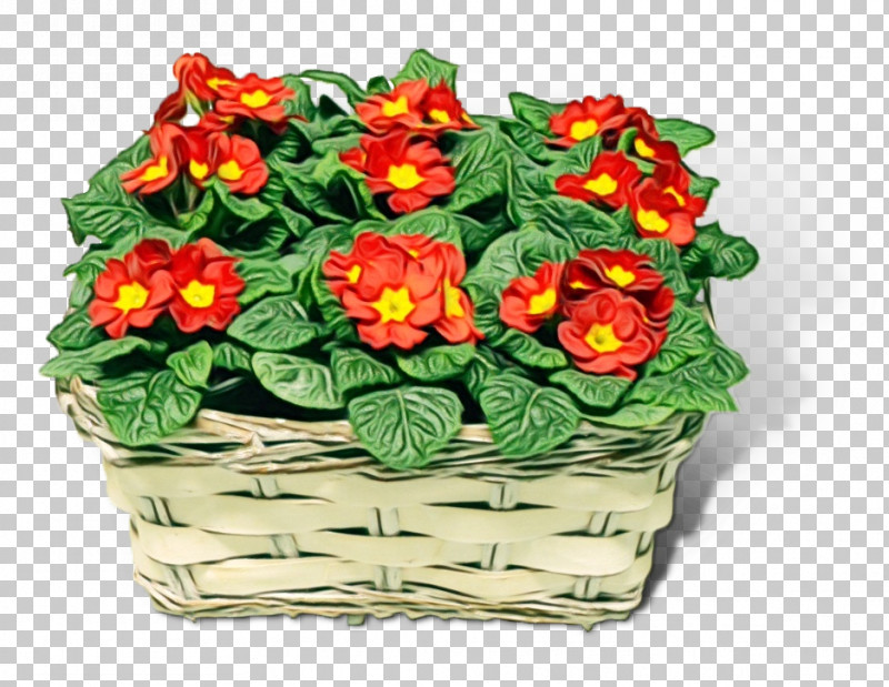 Flower Flowerpot Plant Houseplant Primula PNG, Clipart, Anthurium, Bouquet, Flower, Flowerpot, Houseplant Free PNG Download