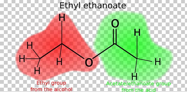 Acetic Acid Ester Butyl Group Butyl Acetate PNG, Clipart, Acetic Acid, Acid, Alcohol, Amyl Acetate, Angle Free PNG Download