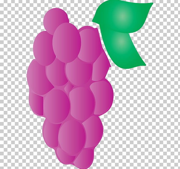 Grape Pink M PNG, Clipart, Circle, Flowering Plant, Fruit, Fruit Nut, Grape Free PNG Download