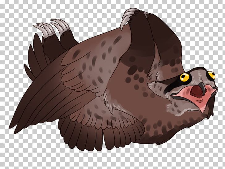 Bearded Vulture Bird Griffin Potoo PNG, Clipart, Animal, Animals, Beak, Bearded Vulture, Bird Free PNG Download