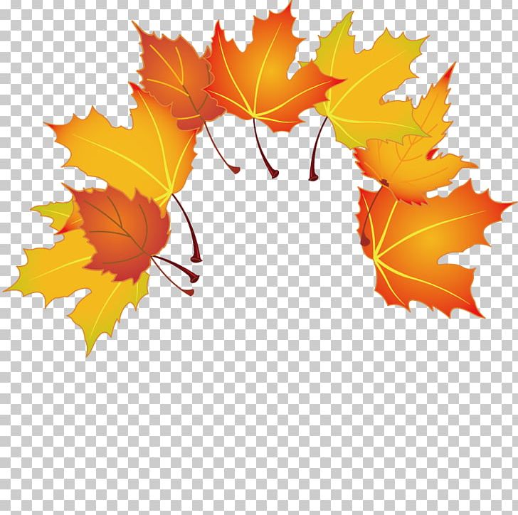 Maple Leaf PNG, Clipart, Autumn, Autumn Leaves, Autumn Tree, Deciduous, Designer Free PNG Download