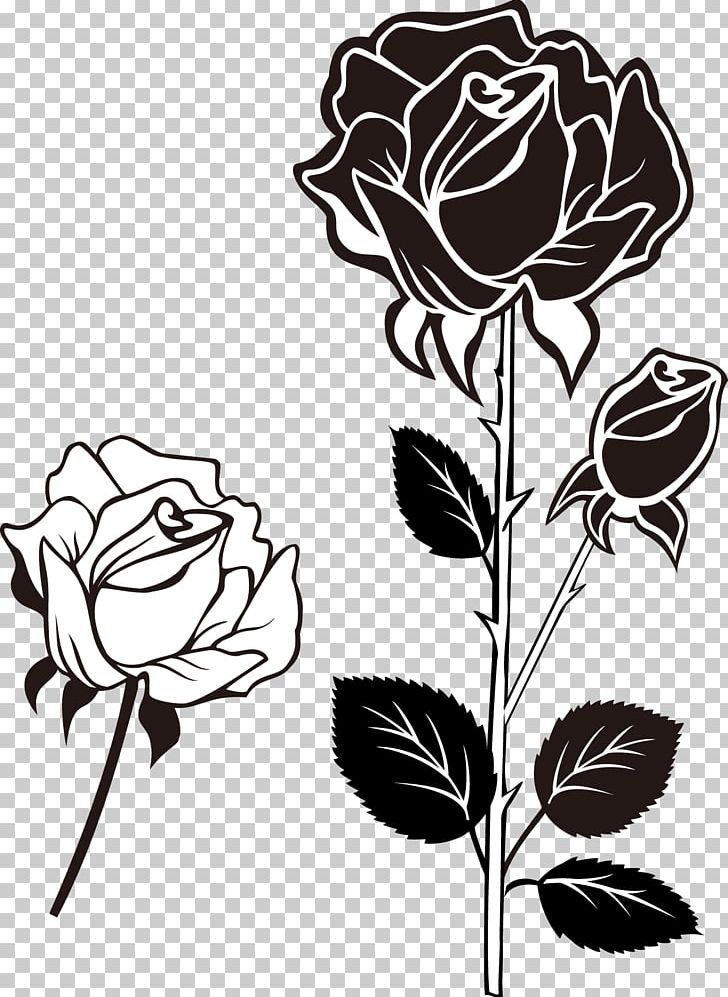 Beach Rose Photography PNG, Clipart, Art, Background, Black, Black Hair, Black White Free PNG Download