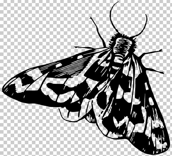 Butterfly Moth Insect Galleria Mellonella PNG, Clipart, Art, Brush Footed Butterfly, Fictional Character, Insects, Monarch Butterfly Free PNG Download