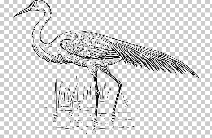 Heron Bird Crane Vertebrate Egret PNG, Clipart, Artwork, Beak, Bird, Black And White, Ciconiiformes Free PNG Download