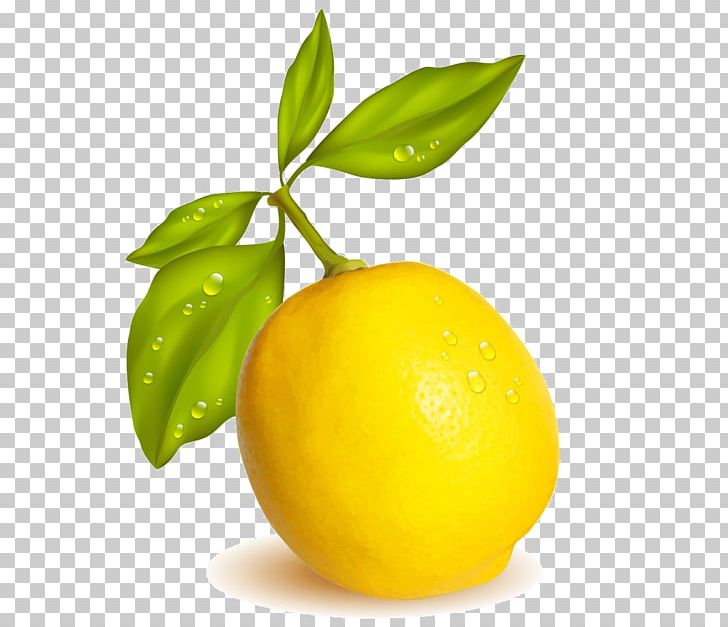 Lemon-lime Drink Meyer Lemon Persian Lime Sweet Lemon PNG, Clipart, Citric Acid, Citron, Citrus, Diet Food, Food Free PNG Download
