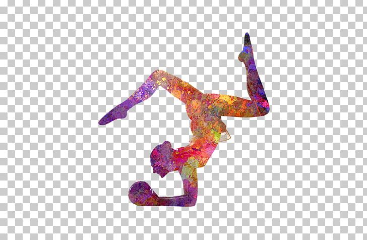Rhythmic Gymnastics Silhouette Photo Print